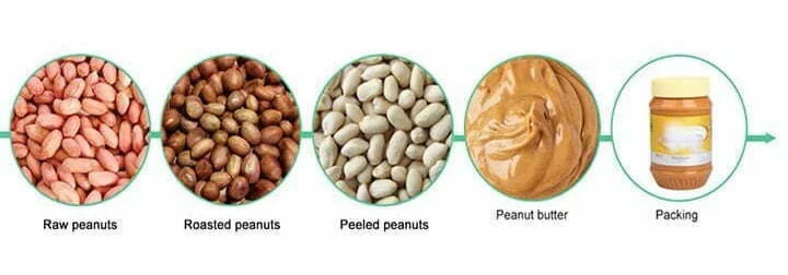 Peanuts Are Processed Into Peanut Butter
